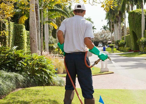 About Lancaster PA Pest Control Pros